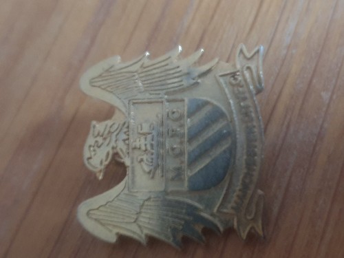 Distintivo spilla effetto ottone MANCHESTER CITY FOOTBALL CLUB - Foto 3 di 9