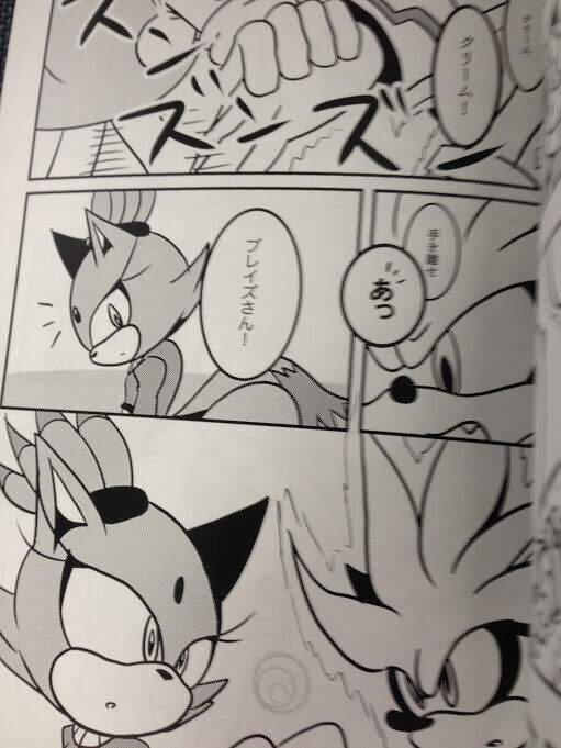 Sonic the Hedgehog Doujinshi - innocent world (Silver + Sonic / Silver –  Cherden's Doujinshi Shop