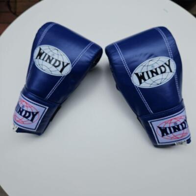 Windy Boxing Gloves Size M | eBay