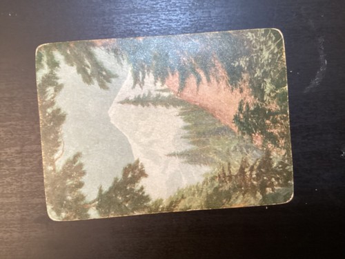 Antique Chicago, Milwaukee & St. Paul Railway Playing Cards 53 Different Views - Picture 16 of 24