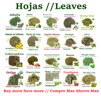 Hojas Alfalfa Consuelda Damiana Espino Blanco Olivo Ortiga Pinguica Gymnema Tila