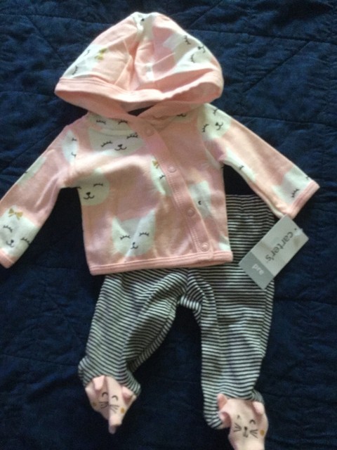 preemie hoodie