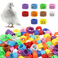 Bird Leg Rings 100PCS 8mm Colorful Numbered Pigeons Quail Chick ID Rings NEW