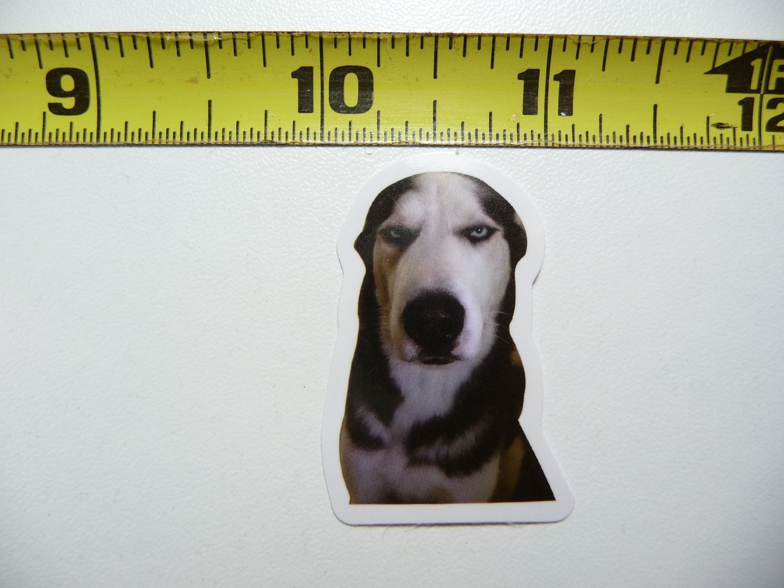 Cute Hypnotize Dog Sticker Decal Fun Pet Accessory AX148 Small Size