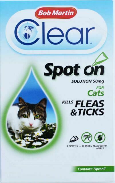 wildflower dog names