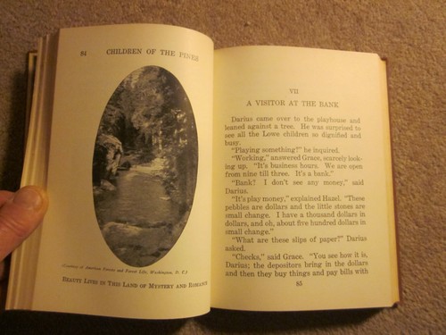 Children Of The Pines 1926 Arland Weeks - Bild 5 von 9