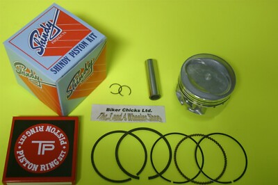 05-06 YFM250 Bruin Piston & Rings .030 .75mm YFM 250 MADE IN JAPAN