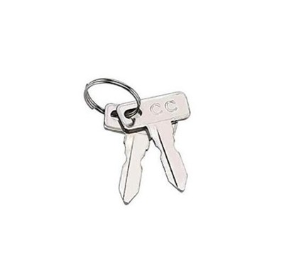 Club Car Replacement (2 Pack) Silver