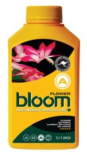 Bloom Yellow Bottle Flower A 2.5L  bottle