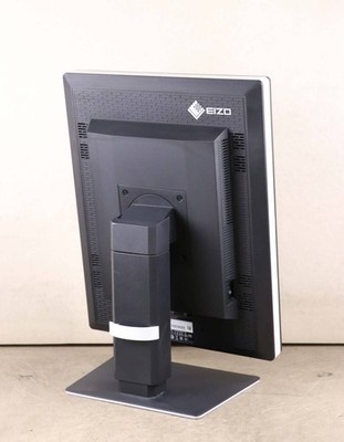 EIZO RadiForce RX250 21.3 Inch IPS Medical LCD Monitor 1200x1600