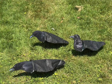 12 x Pack Silosock Crow decoys, Crow shooting,  with stakes Brand New .