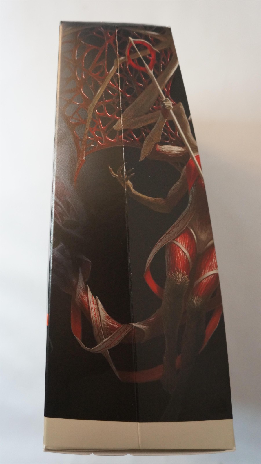 Picture 3 of 5