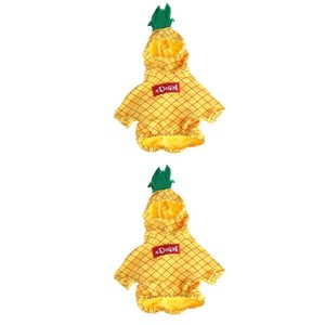 pineapple cat costume