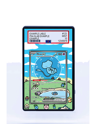 Mew ex 232/091 Sv Paldean Fates PSA DISPLAY CASE Extended Art for