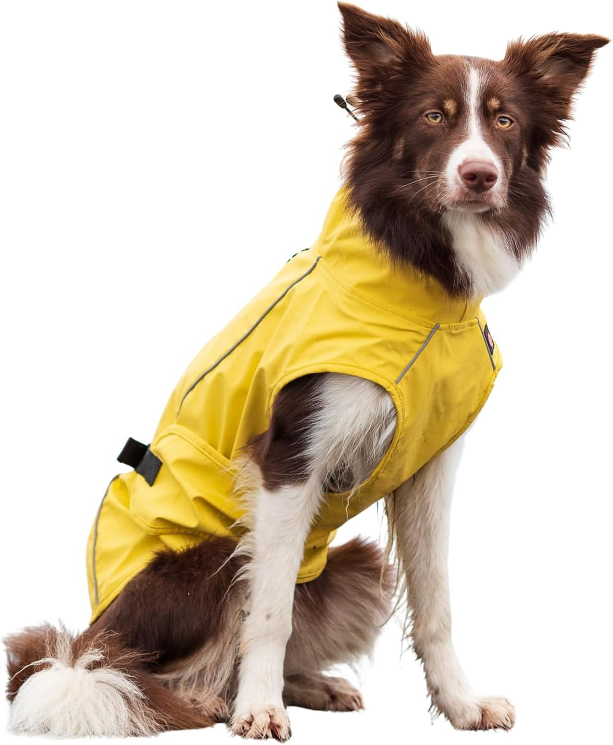 Impermeabile Vimy Trixie 62 cm - Attrezzatura Tecnica per Cani Attivi
