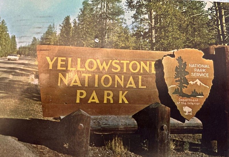 Yellowstone National Park Postcard with Writing On The Back