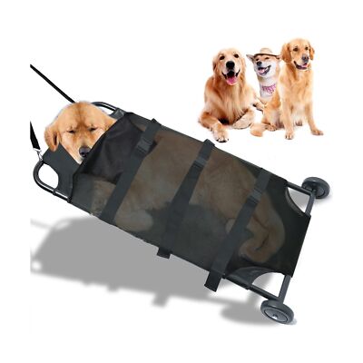 芝*犬様 doublet 22ss streching oversize tro 芝*犬様 doublet 22ss