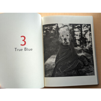 Rare] BRUCE WEBER Bruce Weber ALL-AMERICAN | eBay