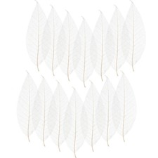 100PCS Craft Skeleton Leaves scrapbooking leaf embellishments skeleton leaves