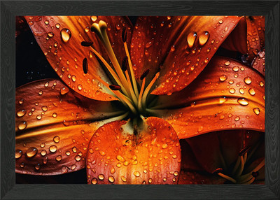Dewy Orchidee Blumen Gerahmtes Wandbild Poster Leinwanddruck Bild