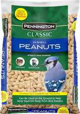 Classic in Shell Peanuts 5 Pounds  Peanuts in Shell for Squirrels, Peanuts for