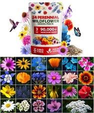 HOME GROWN 900 Wildflower Seeds Mix 3oz 24 Varieties Non GMO Perennial Flower 167.73 per gallon