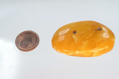 Butterscotch Egg Yolk Amber Bernsteinbrosche 4,6 Gr. aus Bernsteinsammlung - Bild 5 von 5