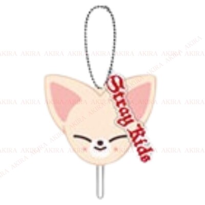 STRAY KIDS dominATE JAPAN MINI IMAGE PICKET KEY HOLDER KEYCHAIN | eBay
