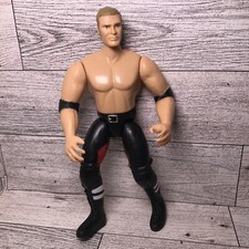 Vintage Toy Wrestling Action Figure WWE Hunter Hearst Helmsley Triple H Jakks 6