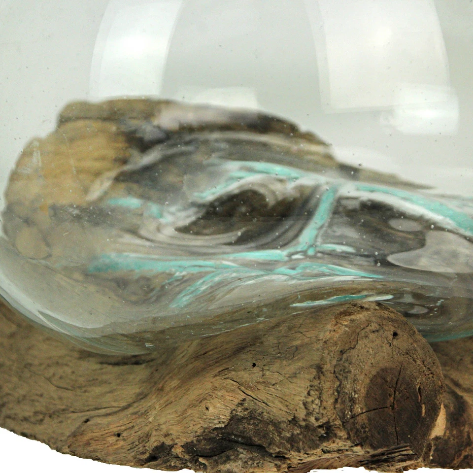 Cuenco escultórico de vidrio fundido sobre madera a la deriva de teca, florero, terrario Foto 3 de 4