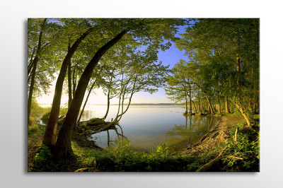 GROSSES LEINWANDBILD FRIEDLICH RUHIG GRÜN WALD SEE SCHÖNER NEUER DRUCK A0 A1