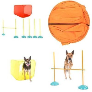 dog agility training kit
