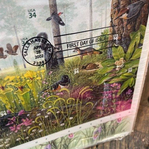 US FDC Stamp Nature Of America Scott # 3611a-j Longleaf Pine Forest 2002 Large - Picture 5 of 10