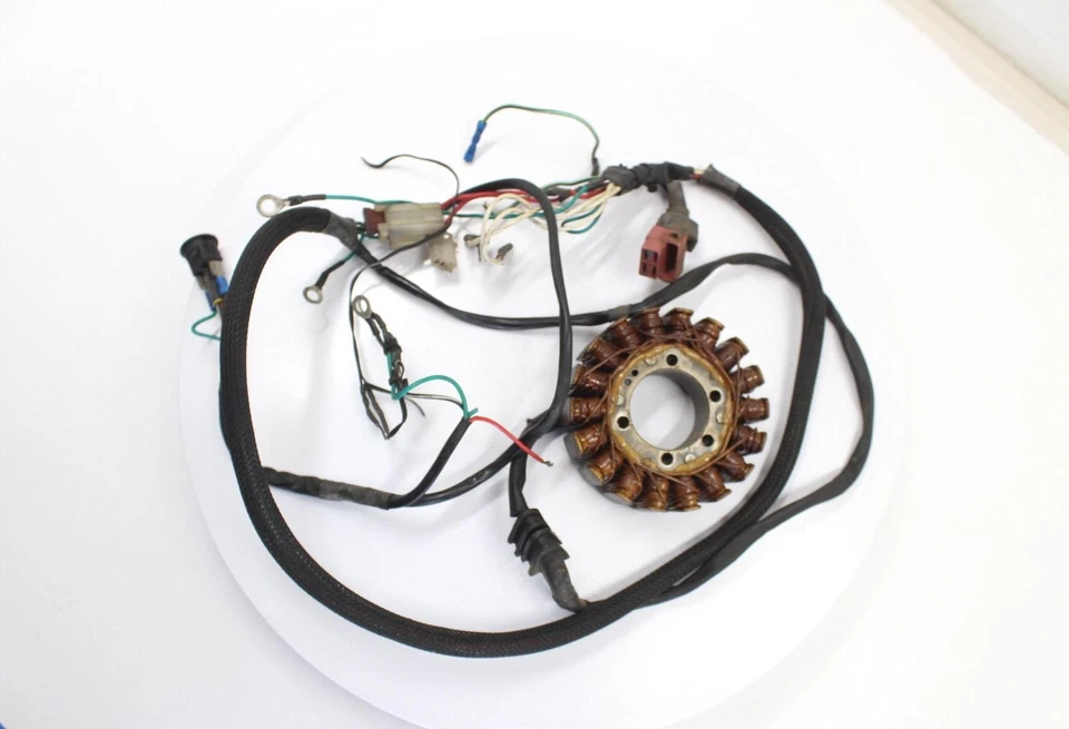 Honda CBR900RR 1995 OEM GENERADOR DE ESTATOR ALTERNADOR MAGNÉTICO Foto 4 de 4