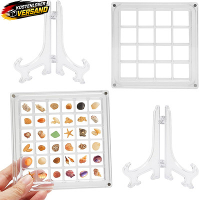 Muschel-Displaybox Acryl magnetisch für Schmuck & Muschelsammlungen, transparent