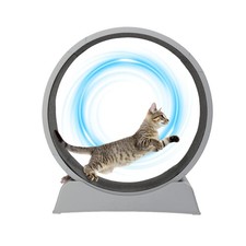 Cat Exercise Wheel 31 Inch Treadmill for Indoor Cats