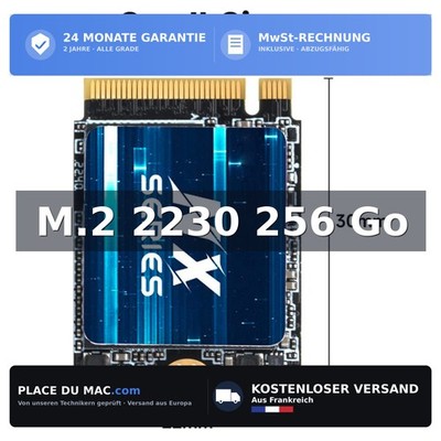 KingSpec NX-256GB M.2 NVMe 2230 256 GB SSD