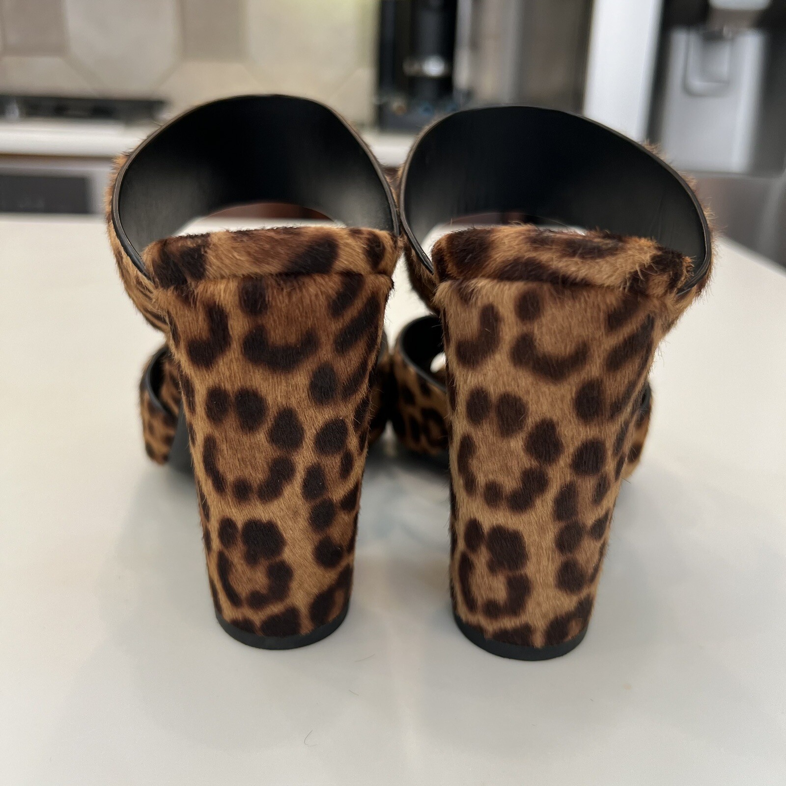 Sandali mulo leopardato rovere Saint Laurent 100 mm