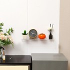 Foto 7 di 7