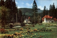 Borsec Romania Park vintage postcard d620