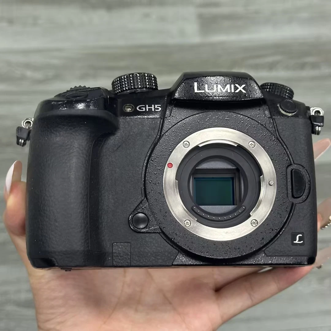 Panasonic Lumix GH5 Dustproof Digital Cameras for Sale - eBay