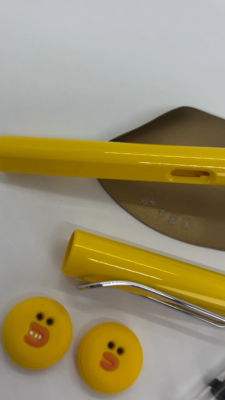 LAMY x LINE FRIENDS Sally Fountain Pen Safari Special Edition