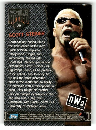 1999 Topps WCW/NWO Nitro Wrestling Official Trading Cards - You Pick - 第 73/145 張圖片