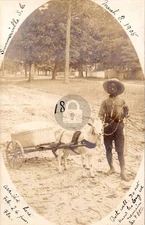 1905 African American Boy with Goat Cart Summerville SC RPPC Photo Postcard COPY