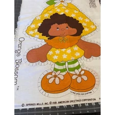 Strawberry Shortcake Orange Blossom American Greetings Corp. 1981 Panel