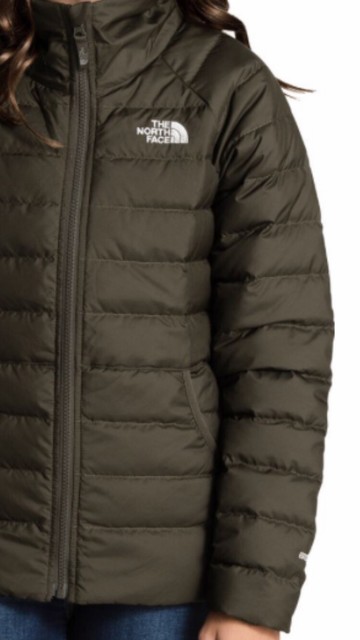 the north face alpz