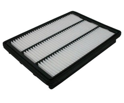 Air Filter Pentius PAB10680