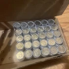 30 Rolls Half Dollar