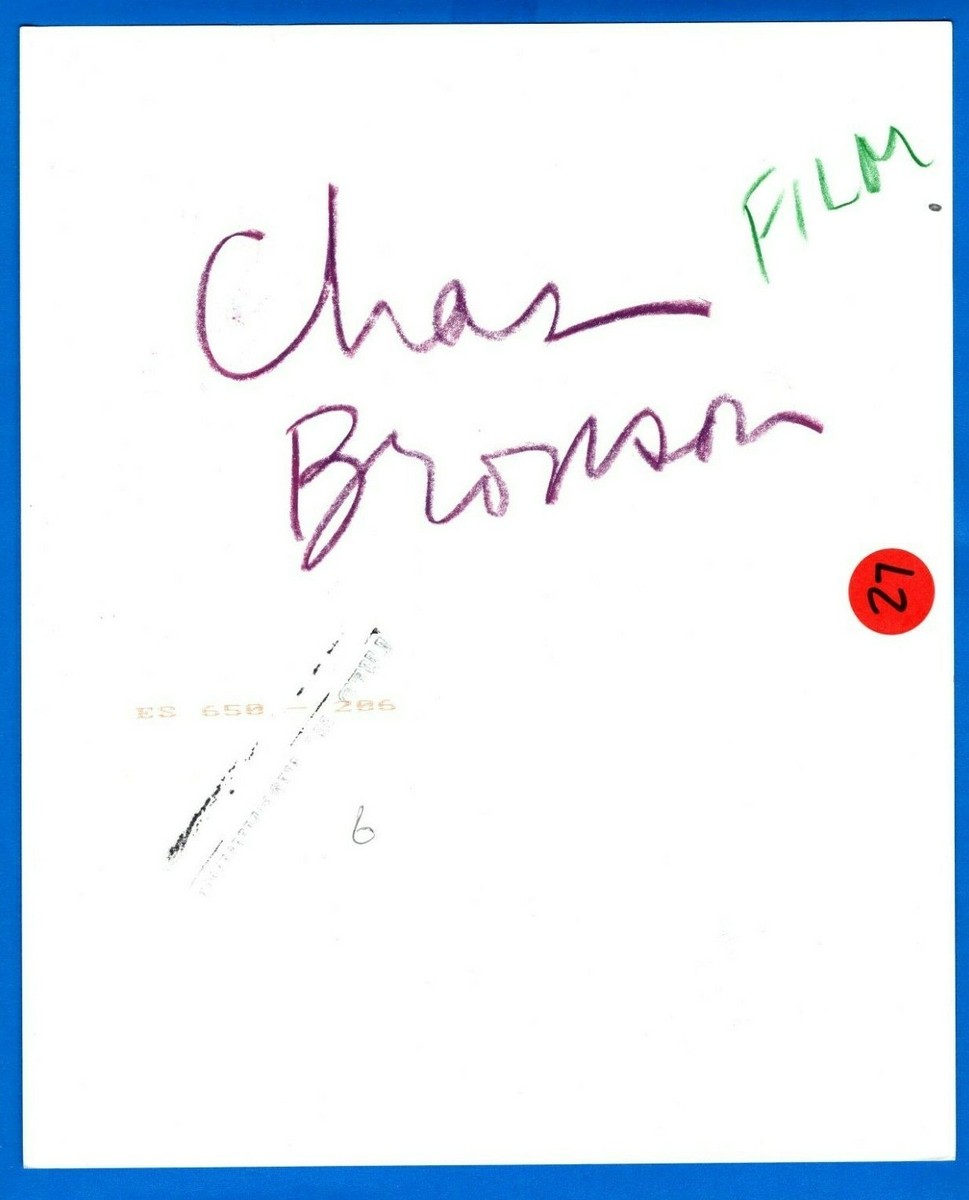 CHARLES BRONSON Actor Original Vintage 8x10 Press News Photo 1975