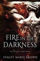 Stacey Marie Brown | Fire In The Darkness | Taschenbuch | Englisch (2021)